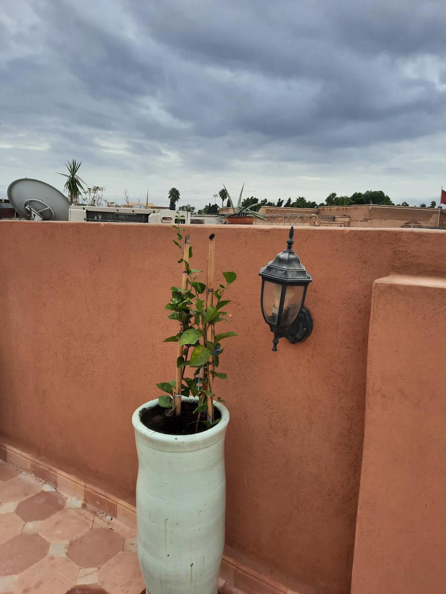 Riad Rayan Marrakesh Exterior foto
